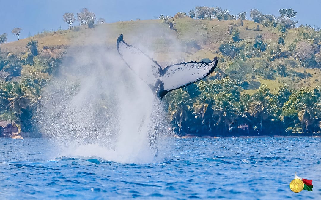 Sainte Marie island tourism